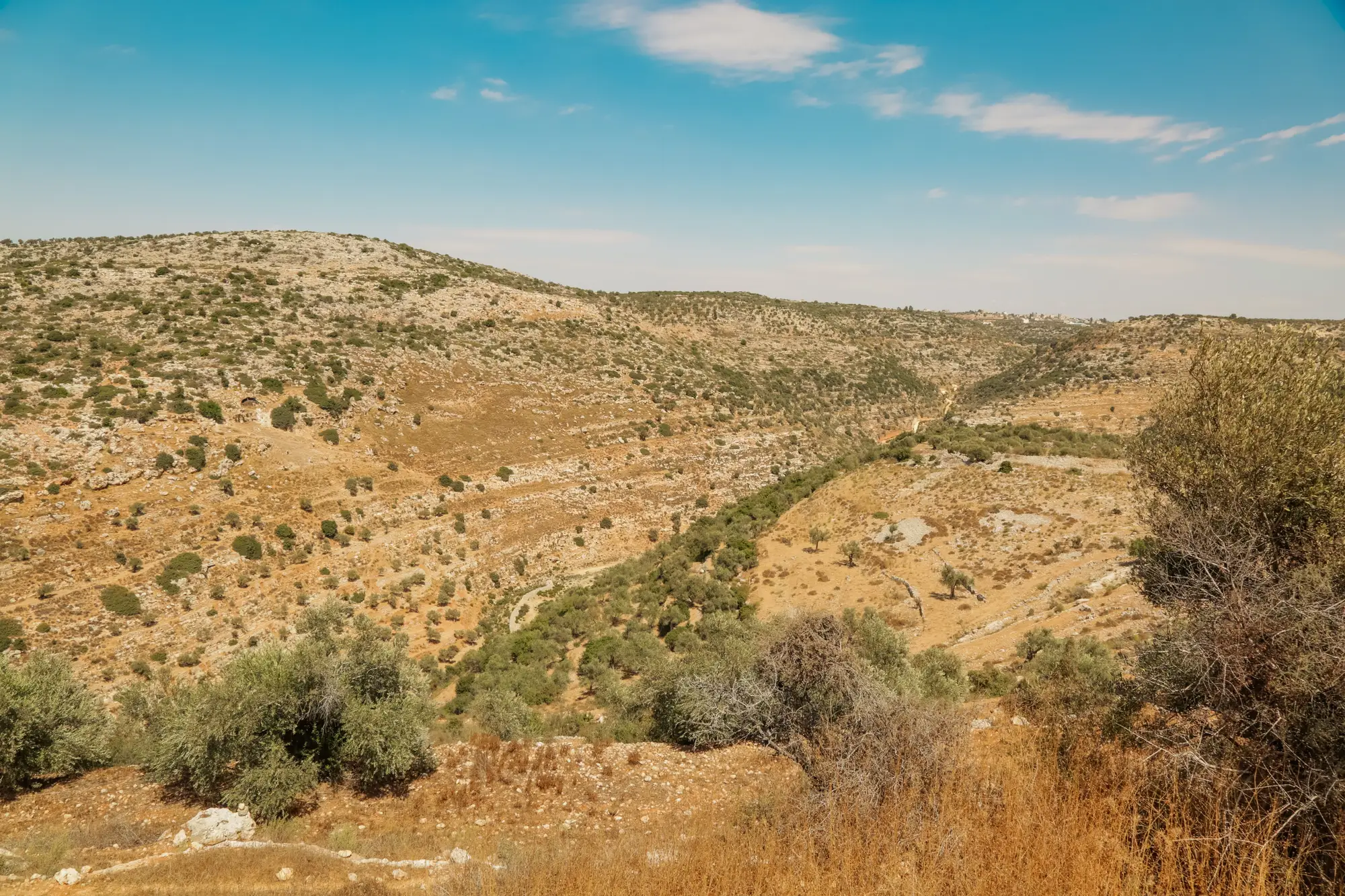 Dry limestone hillsides dotted with scattered shrubs, a green valley floor running between them